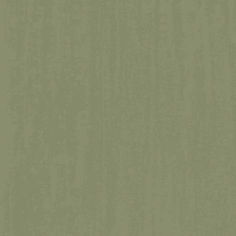 Lume Olive