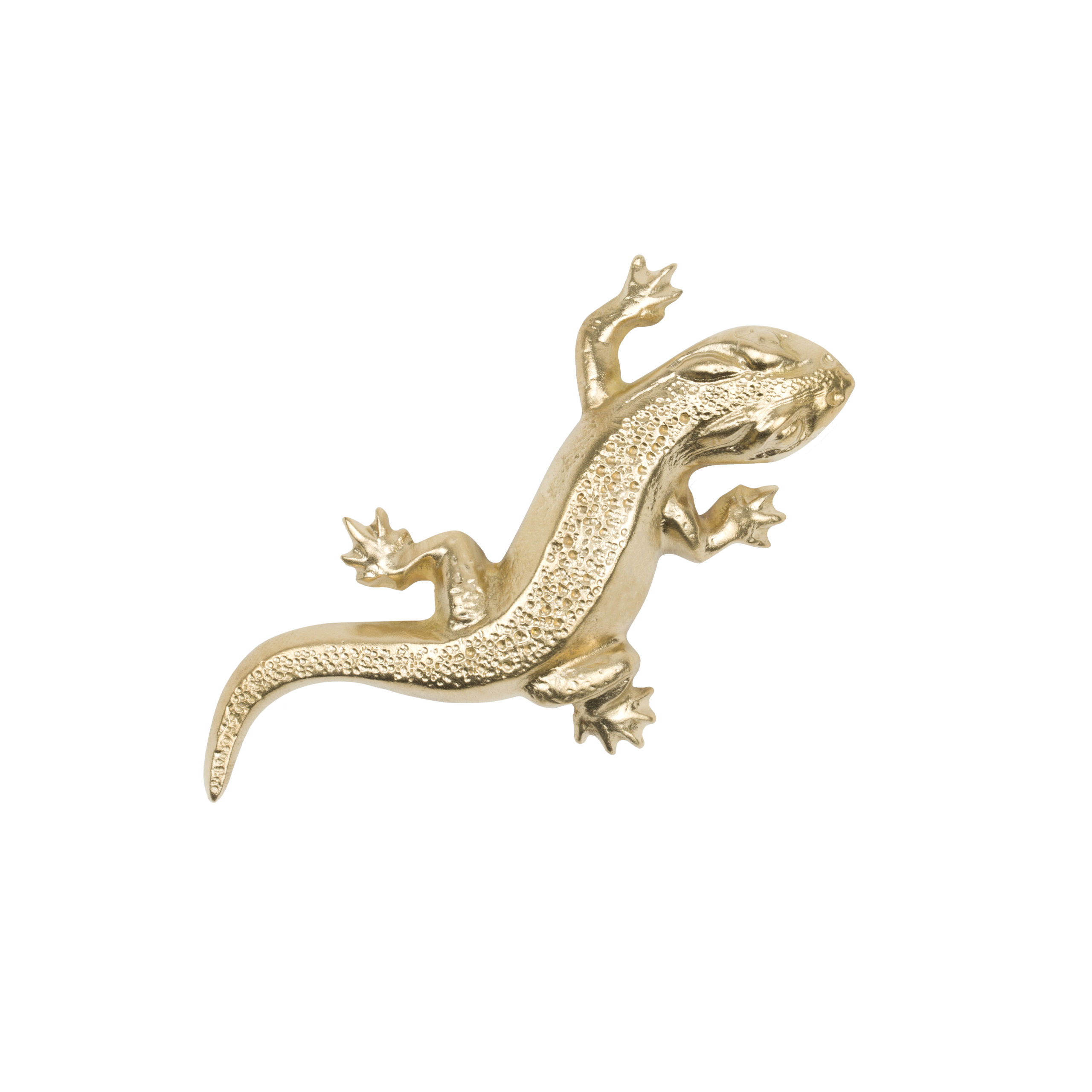 Lizard Wall decoration