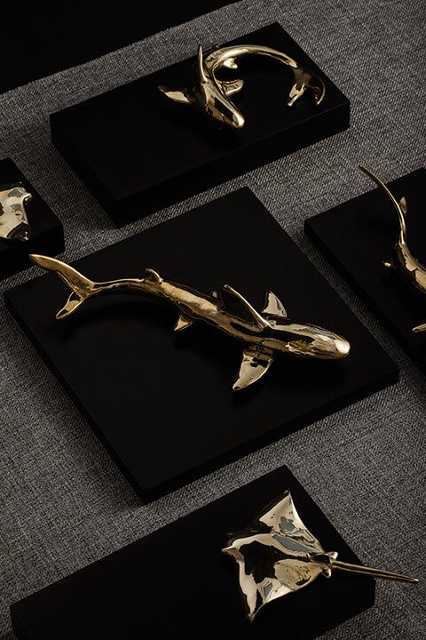 Shark I - Wall decoration