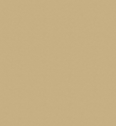 Pelle Latte