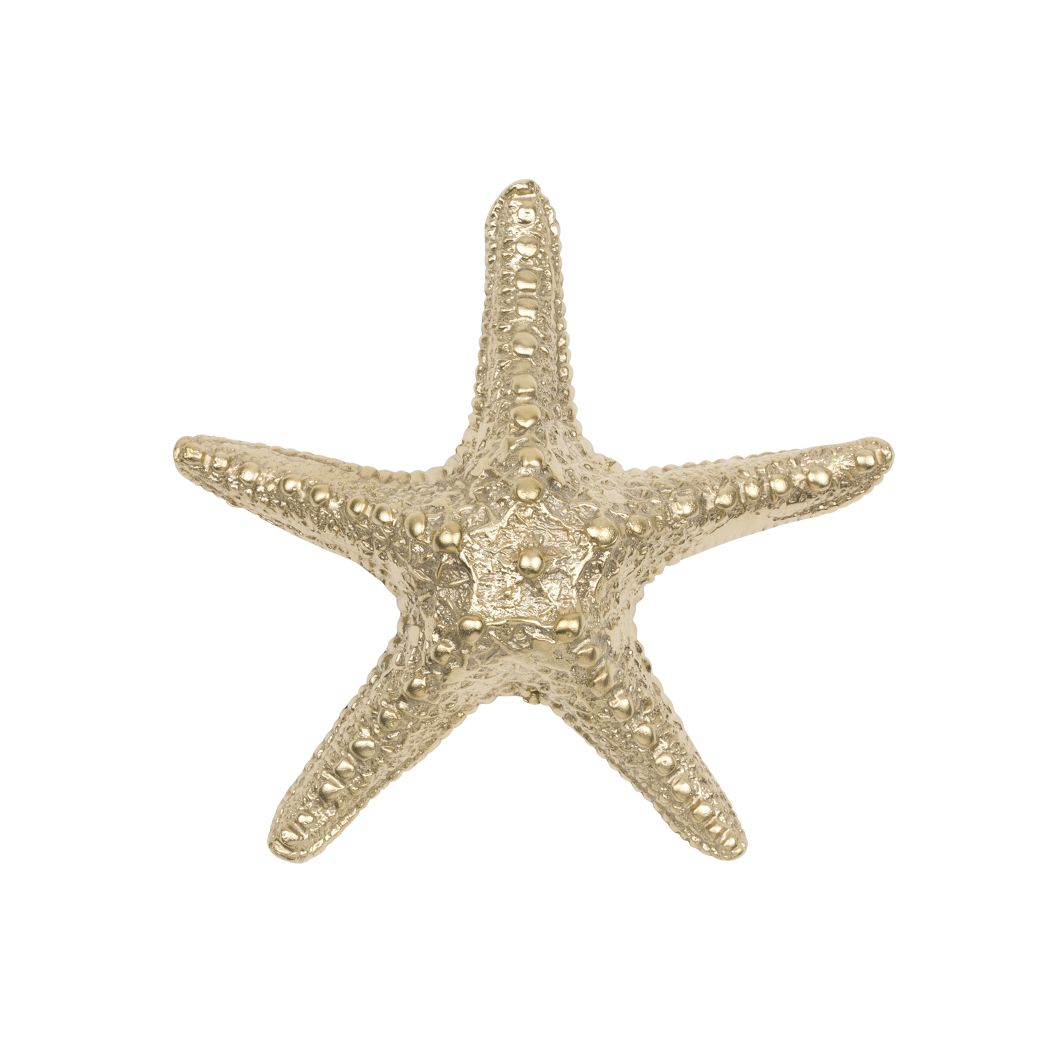 Seastar Limited Edition XL