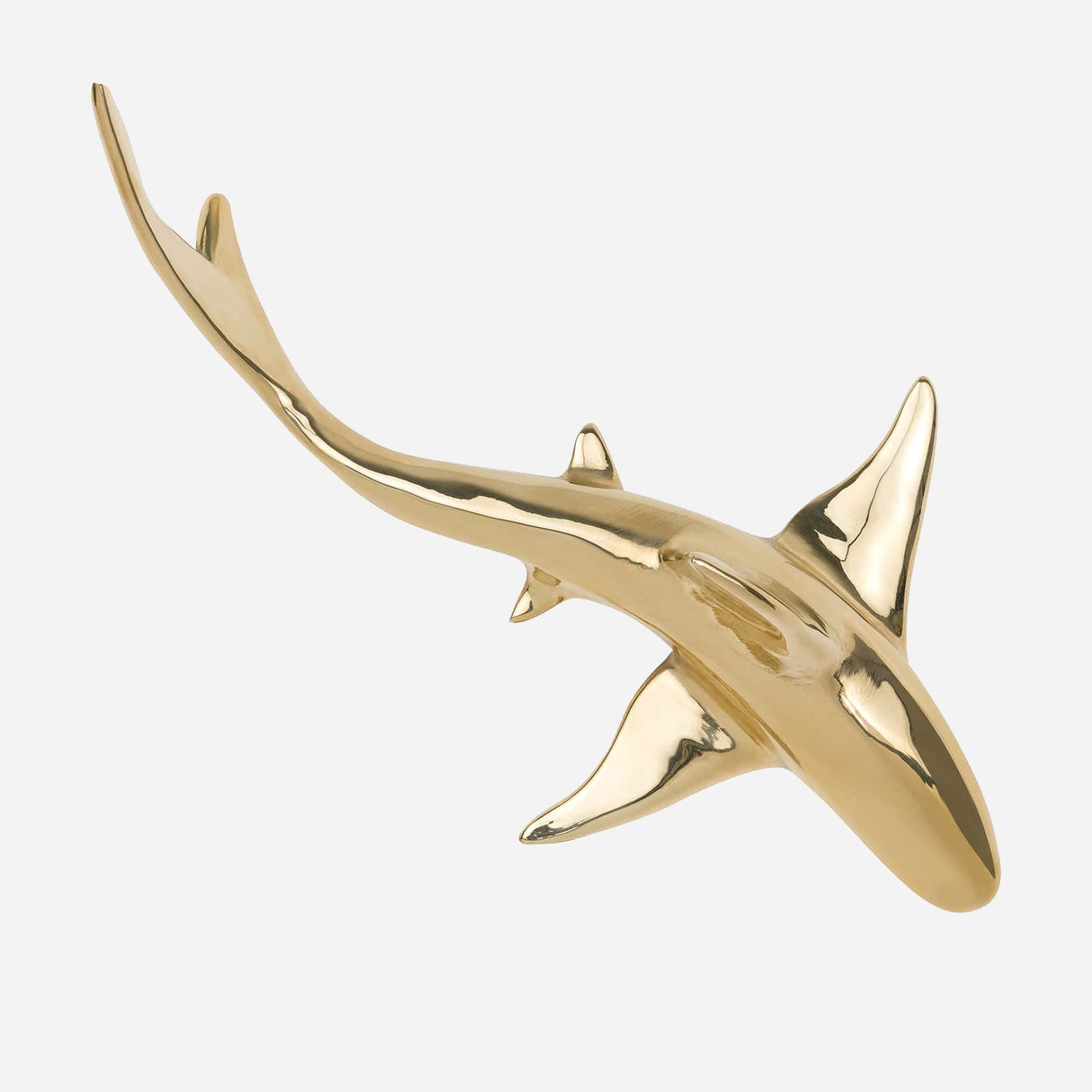 Shark II - Wall decoration