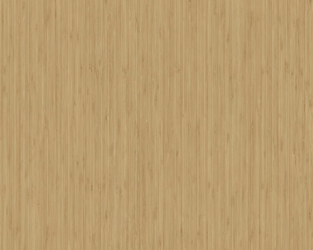 Kyo Sagano Bamboo