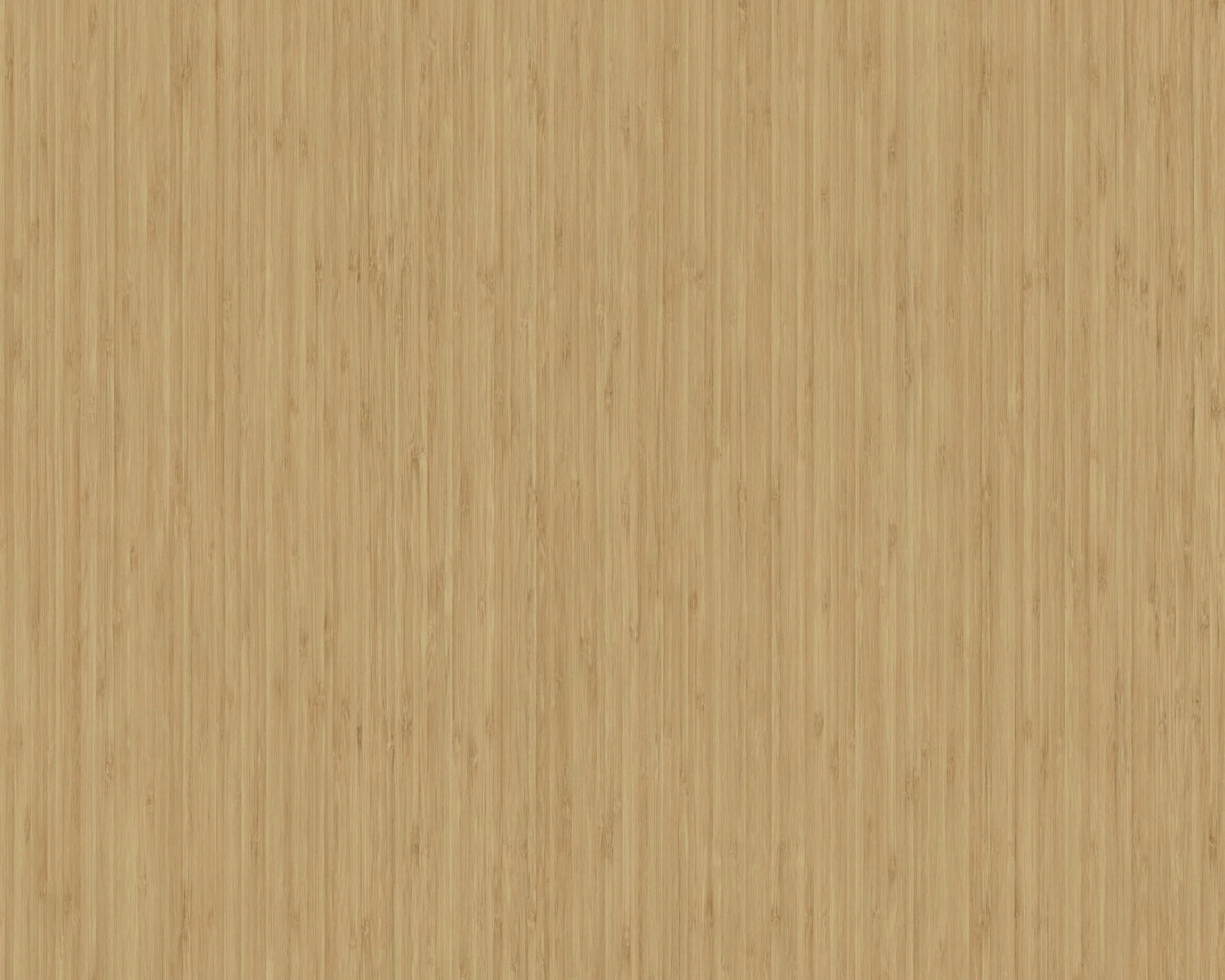 Kyo Sagano Bamboo