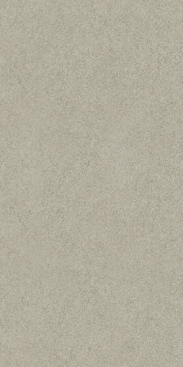 Grey Escher Litho