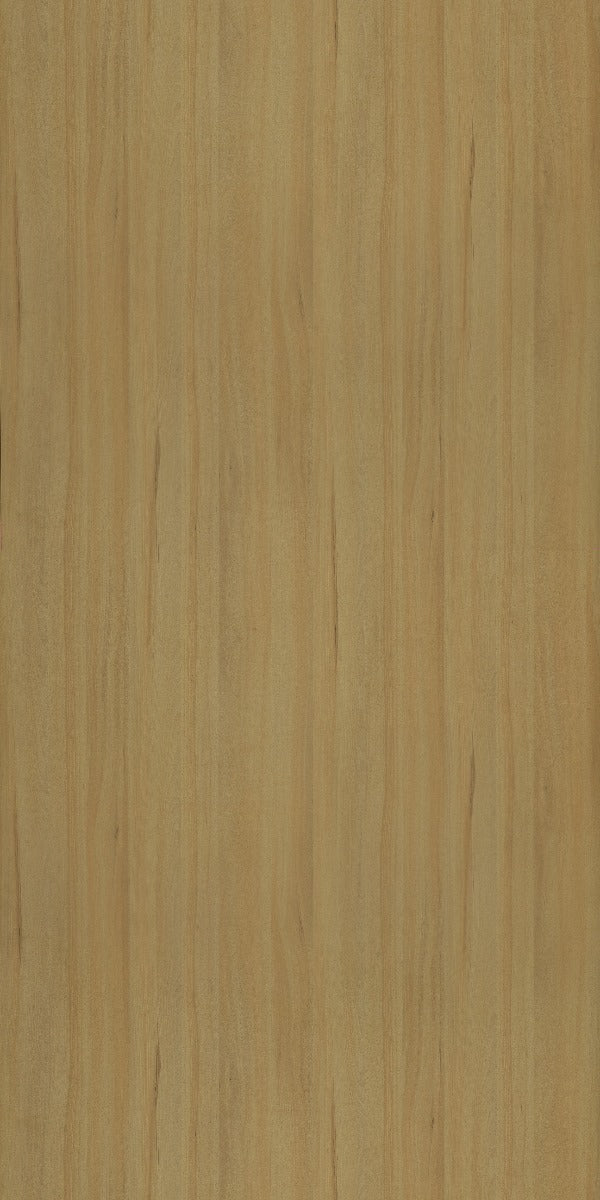 Jun Aomori Beech