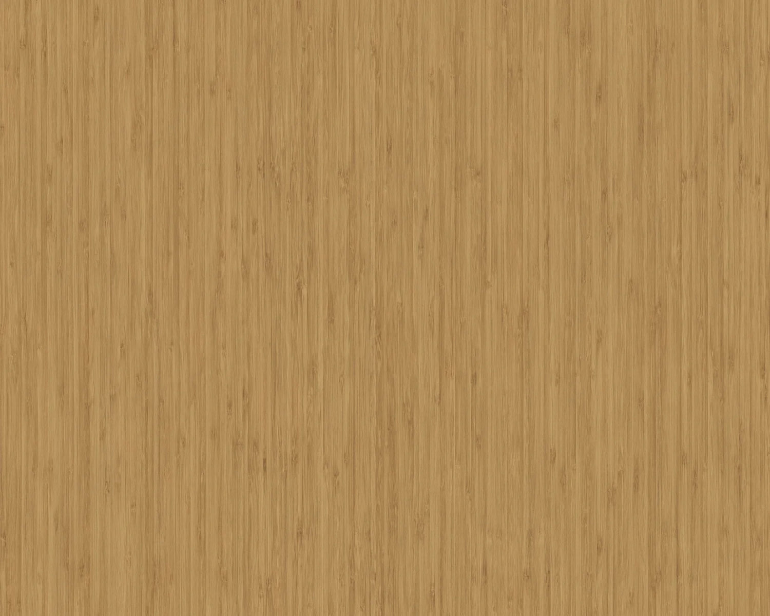 Rel Sagano Bamboo