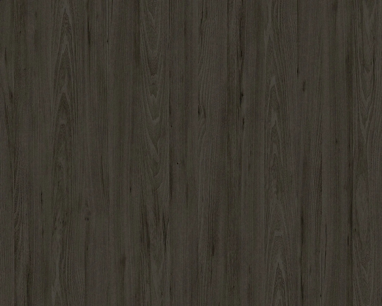 Valda Tivoli Elm Pro