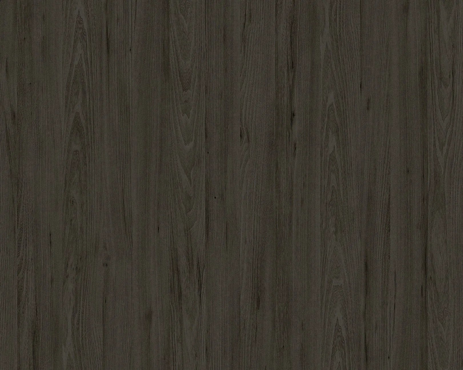 Valda Tivoli Elm Pro