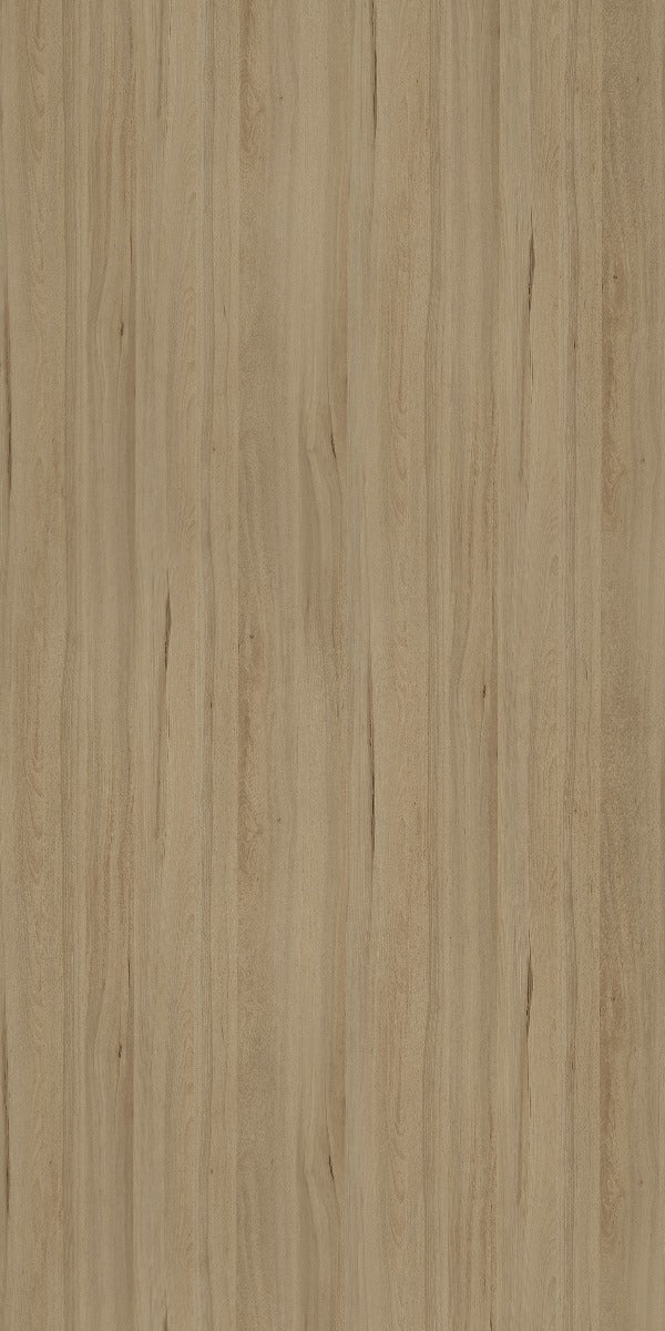 Aki Aomori Beech