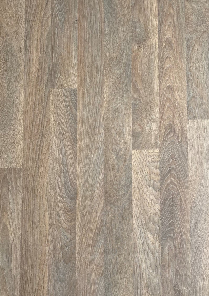 Kashmere Oak