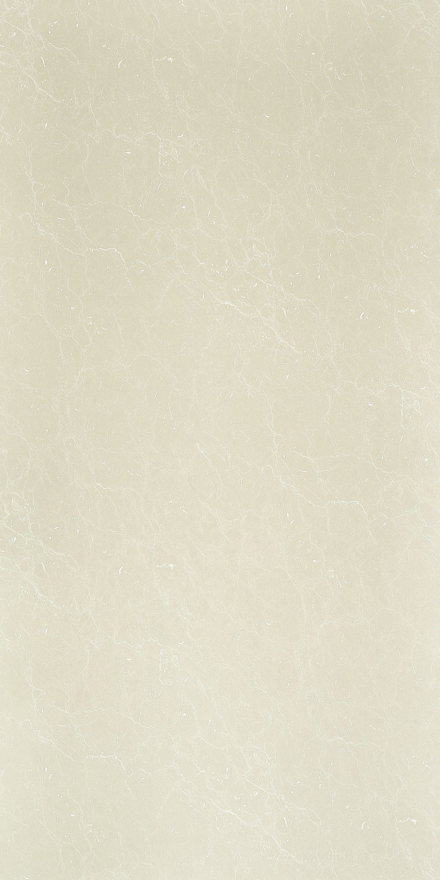 Pallido Limestone