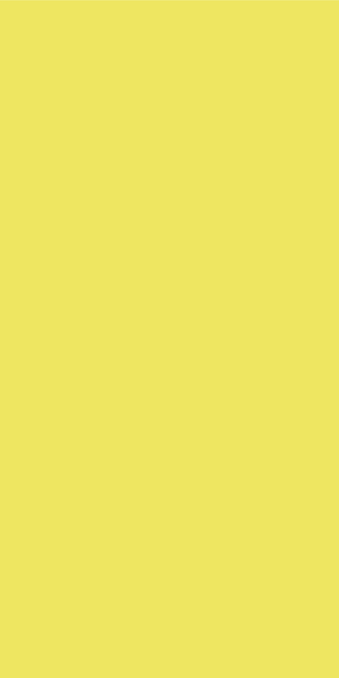 High Gloss Marigold