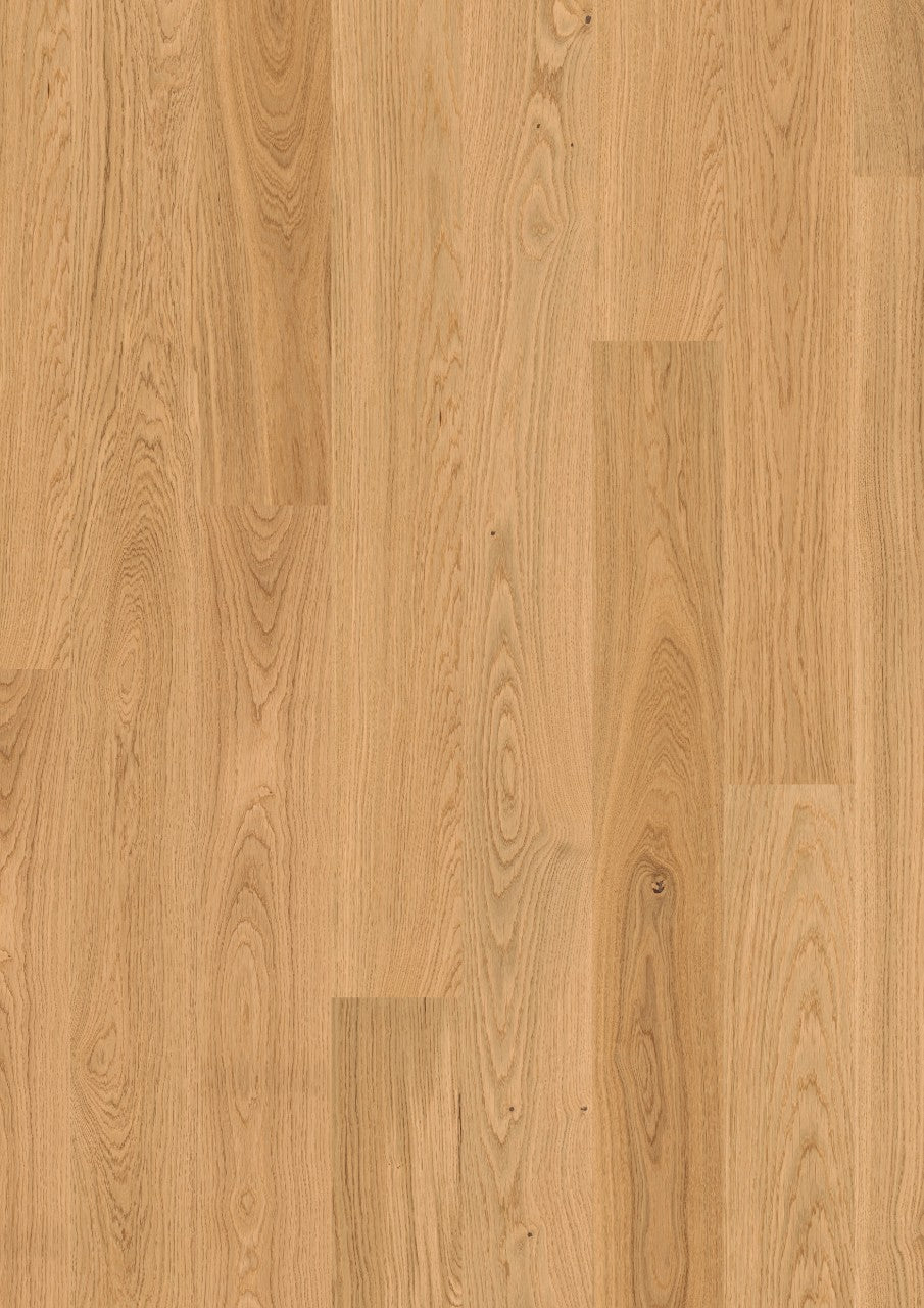 Bornholm Fawn Oak