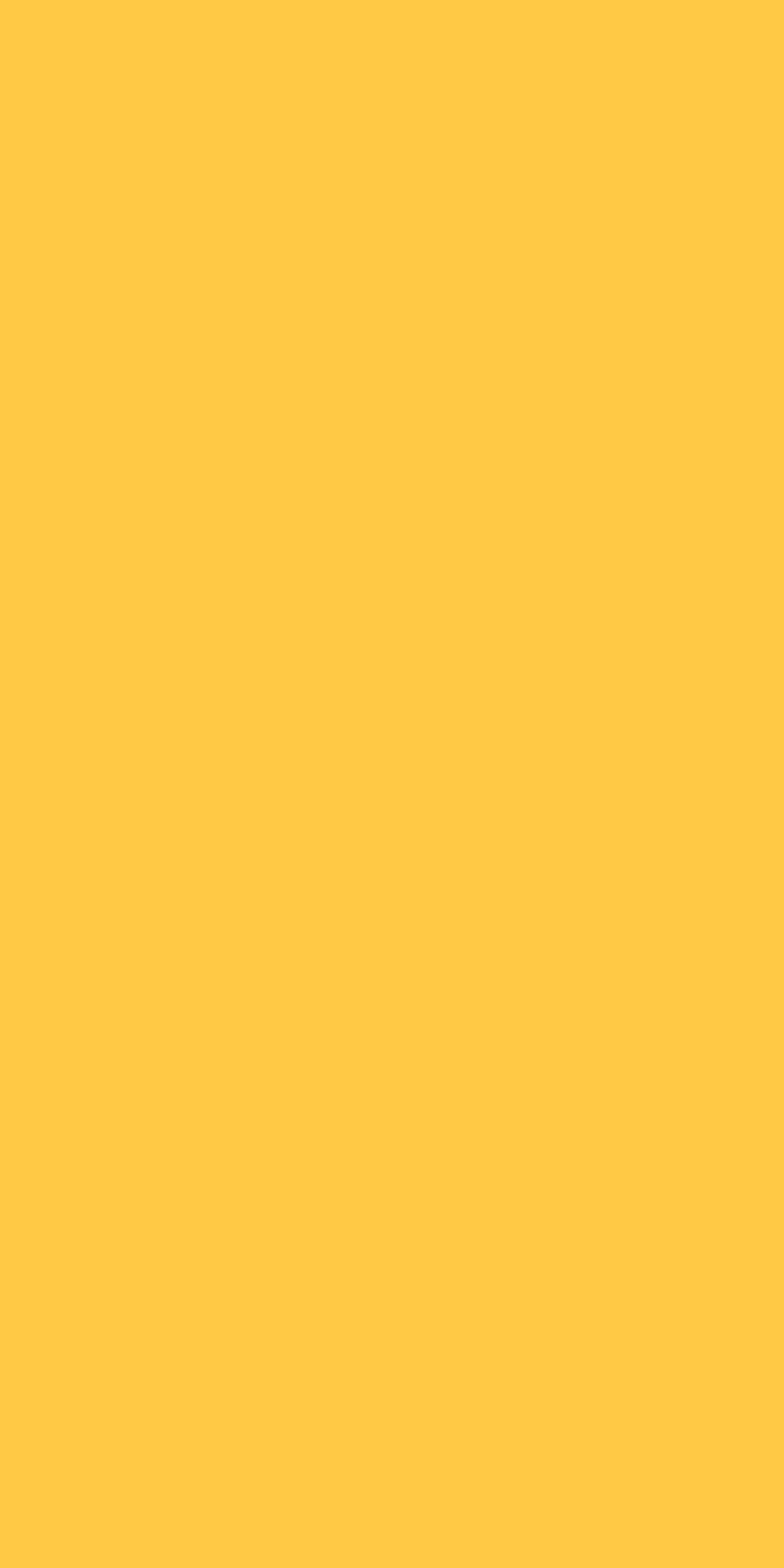 High Gloss Jonquil