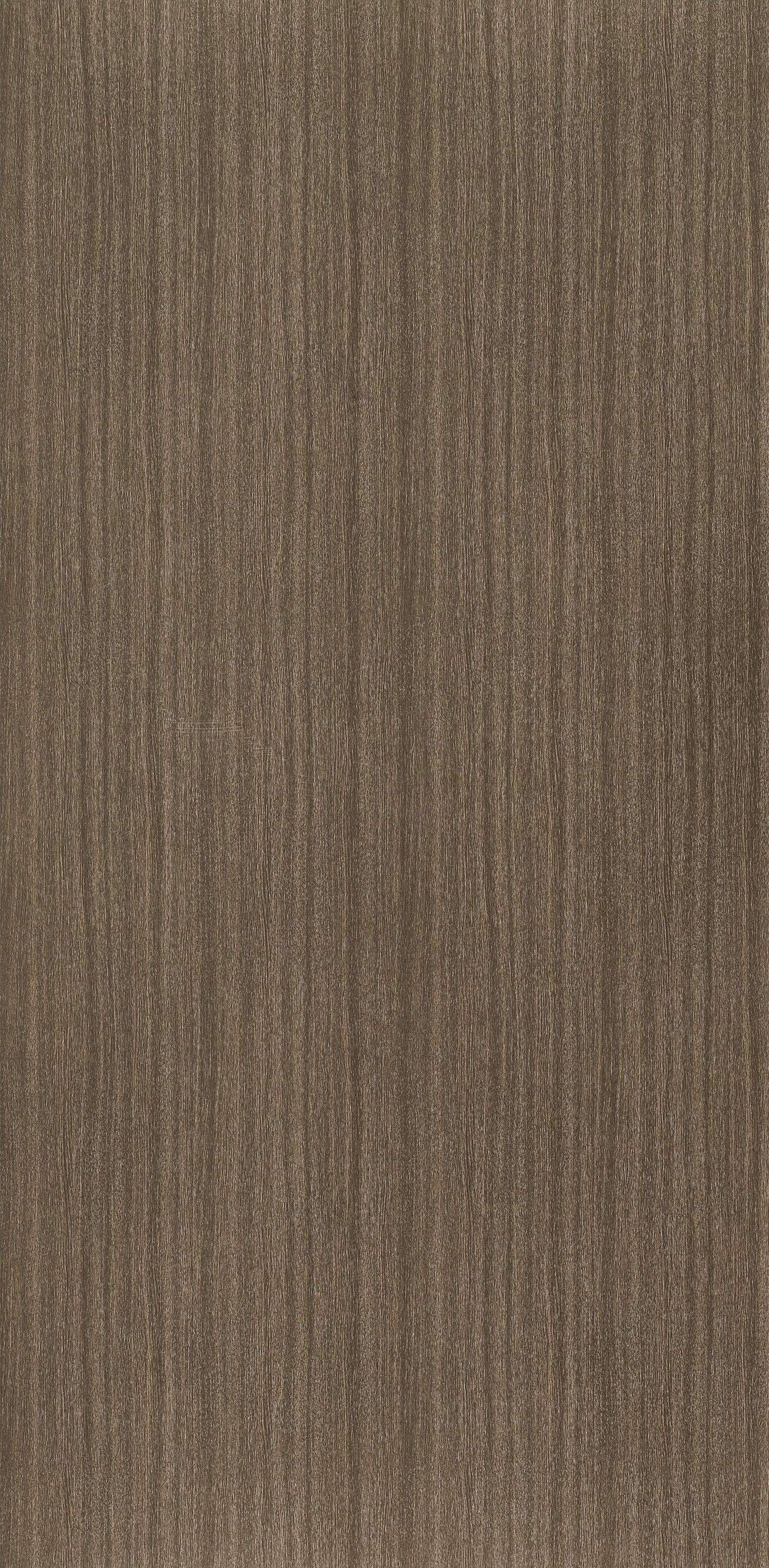 Authentic Bark