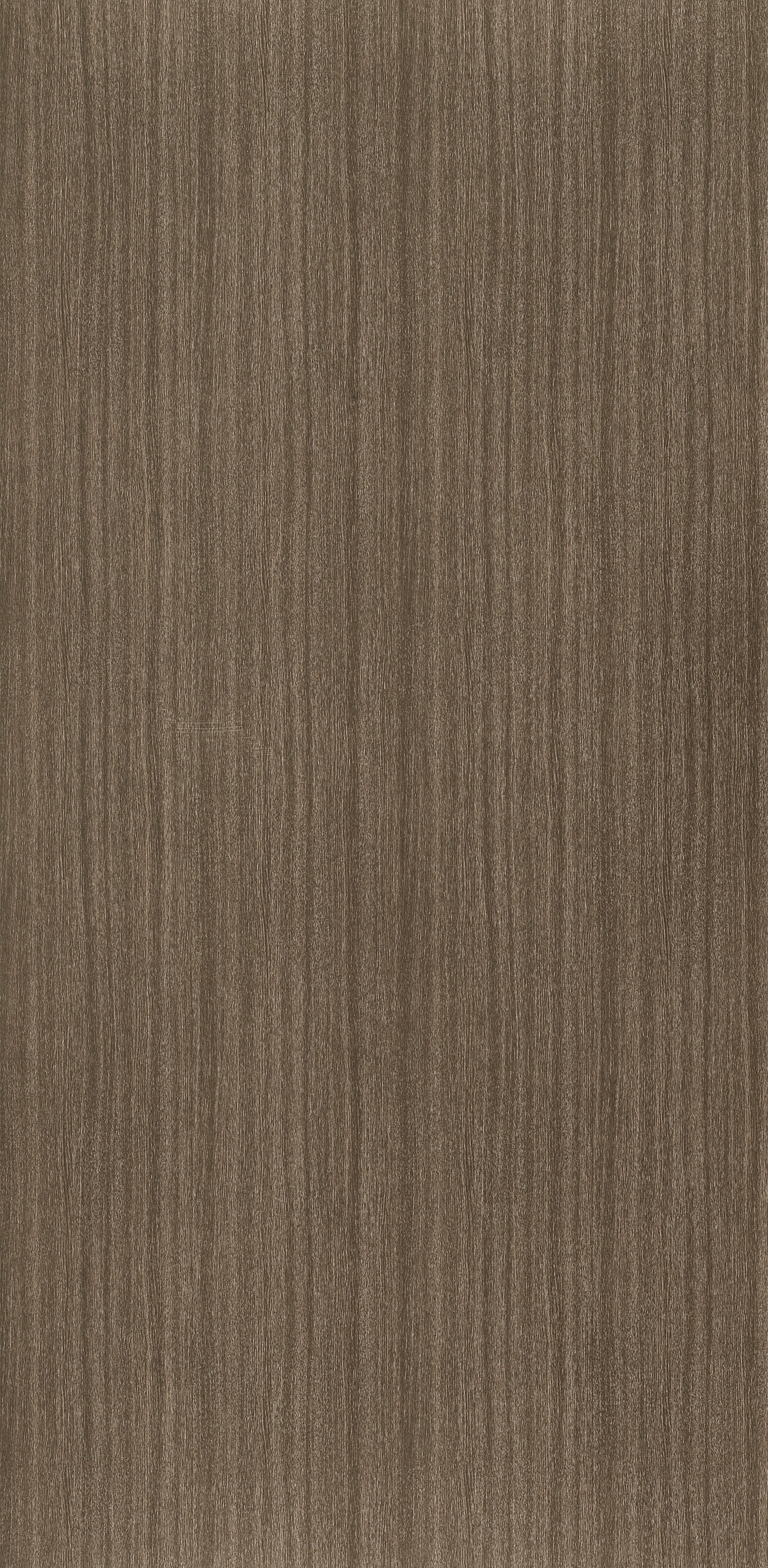 Authentic Bark
