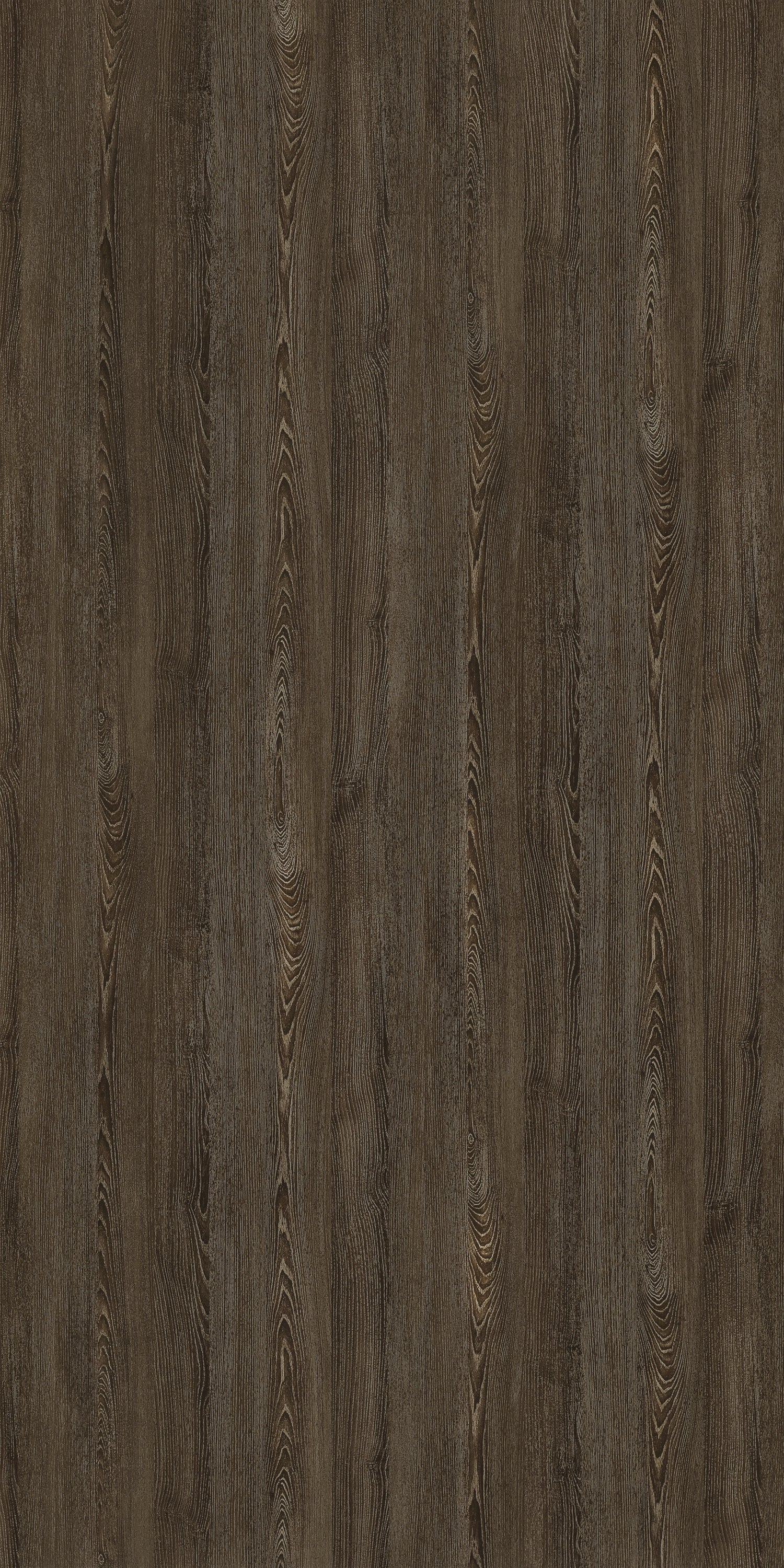 Accorn Sicilian Ash