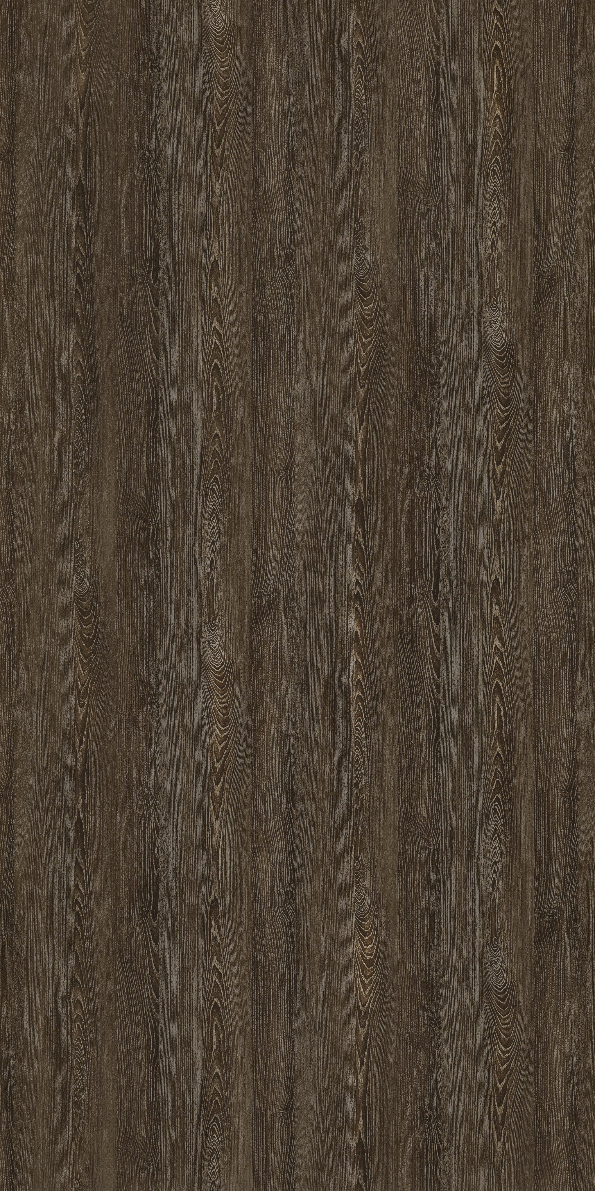 Accorn Sicilian Ash