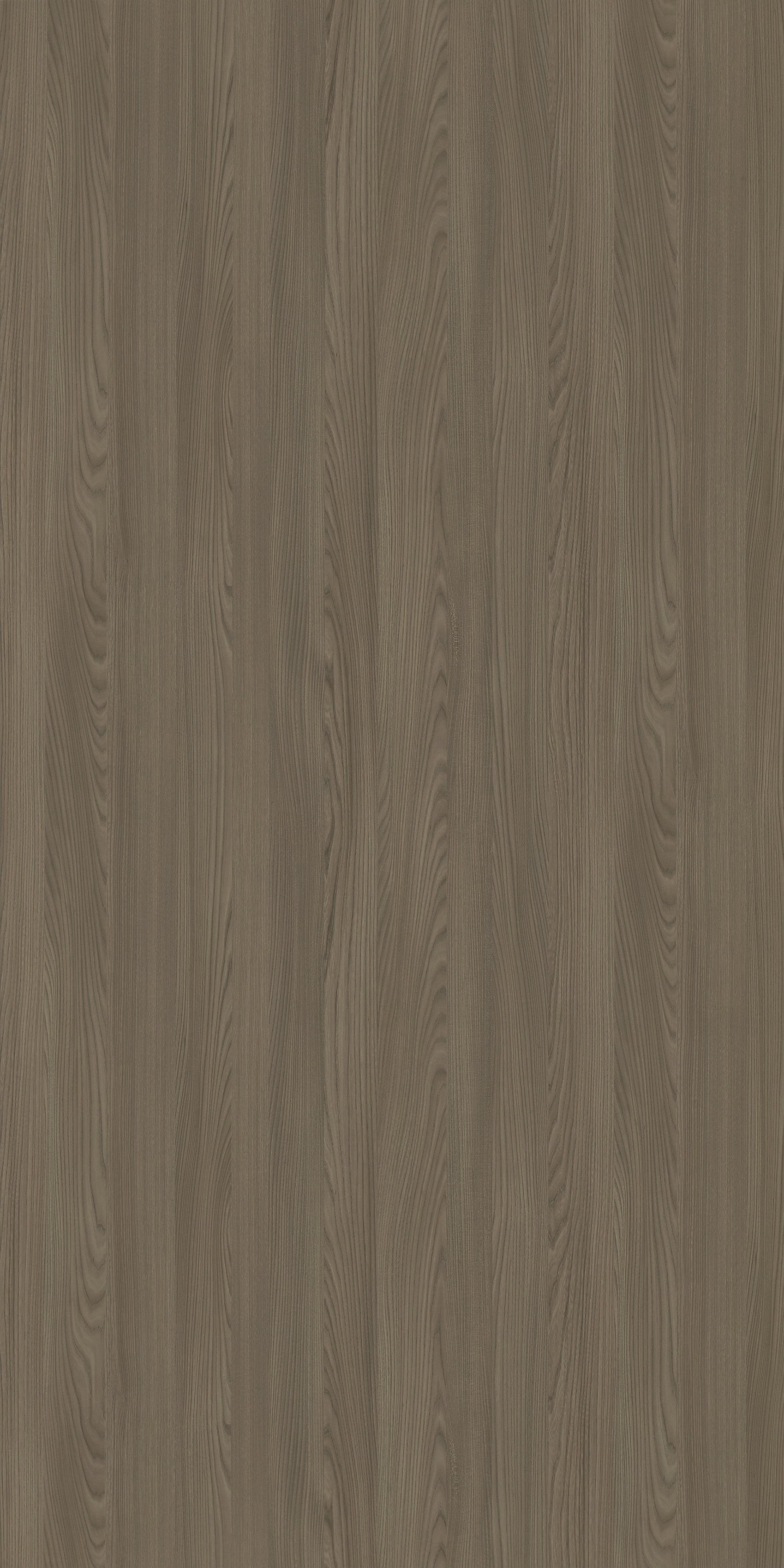 Karl Hoffmann Elm