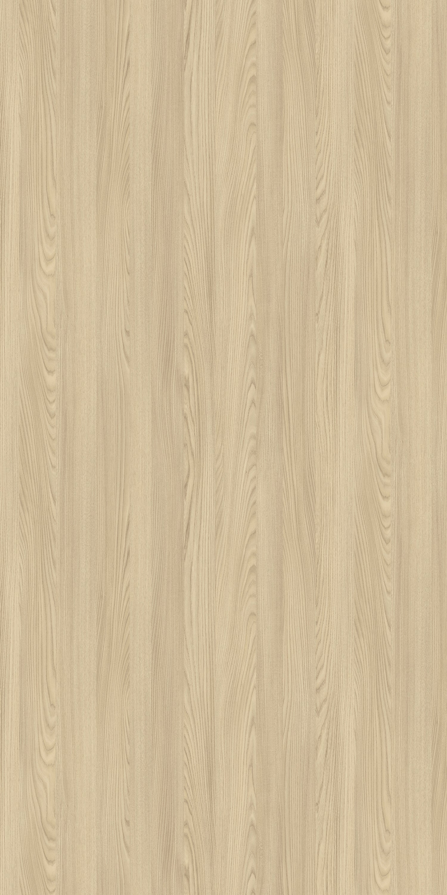 Reid Hoffmann Elm