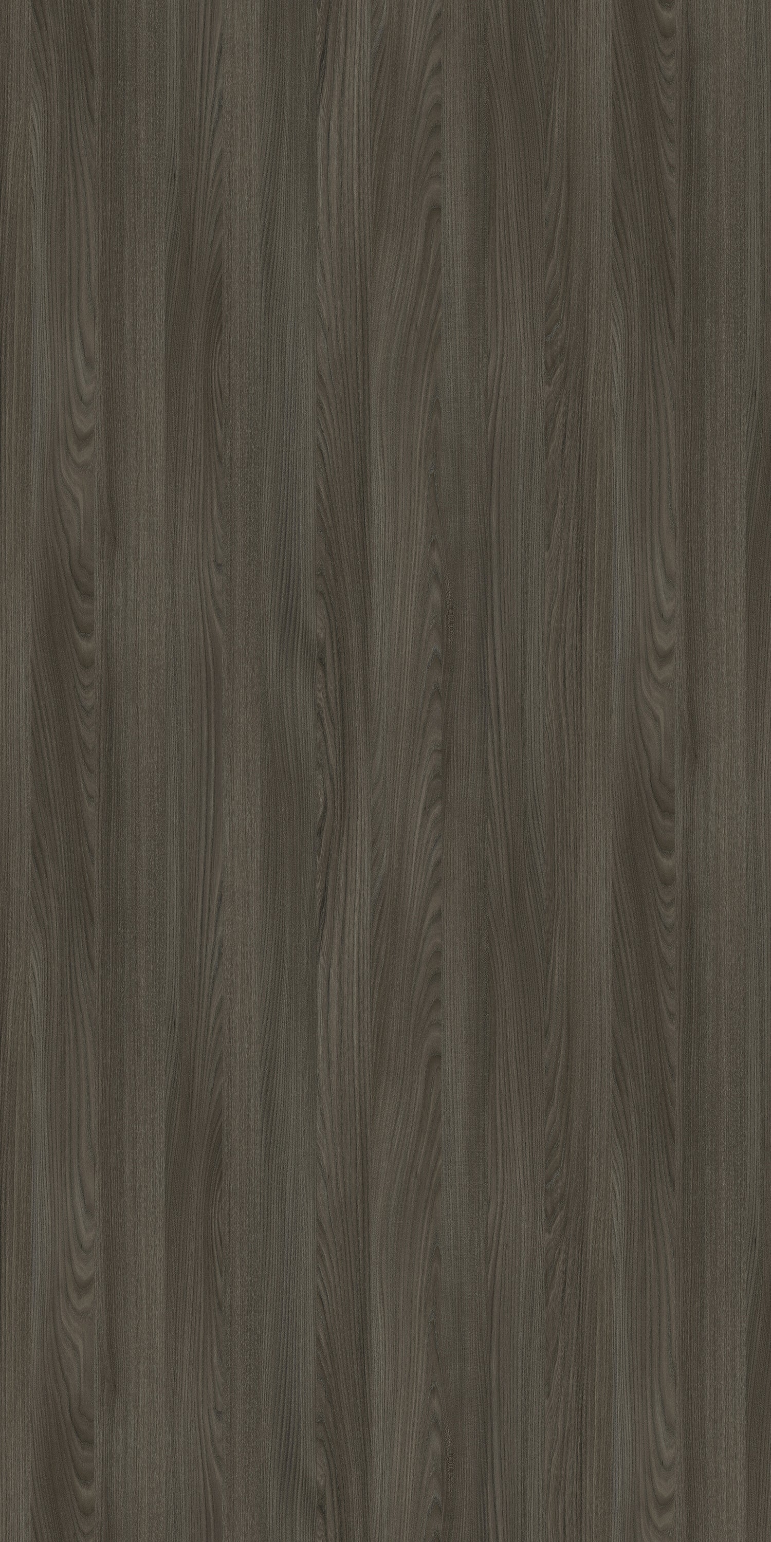 Craig Hoffmann Elm