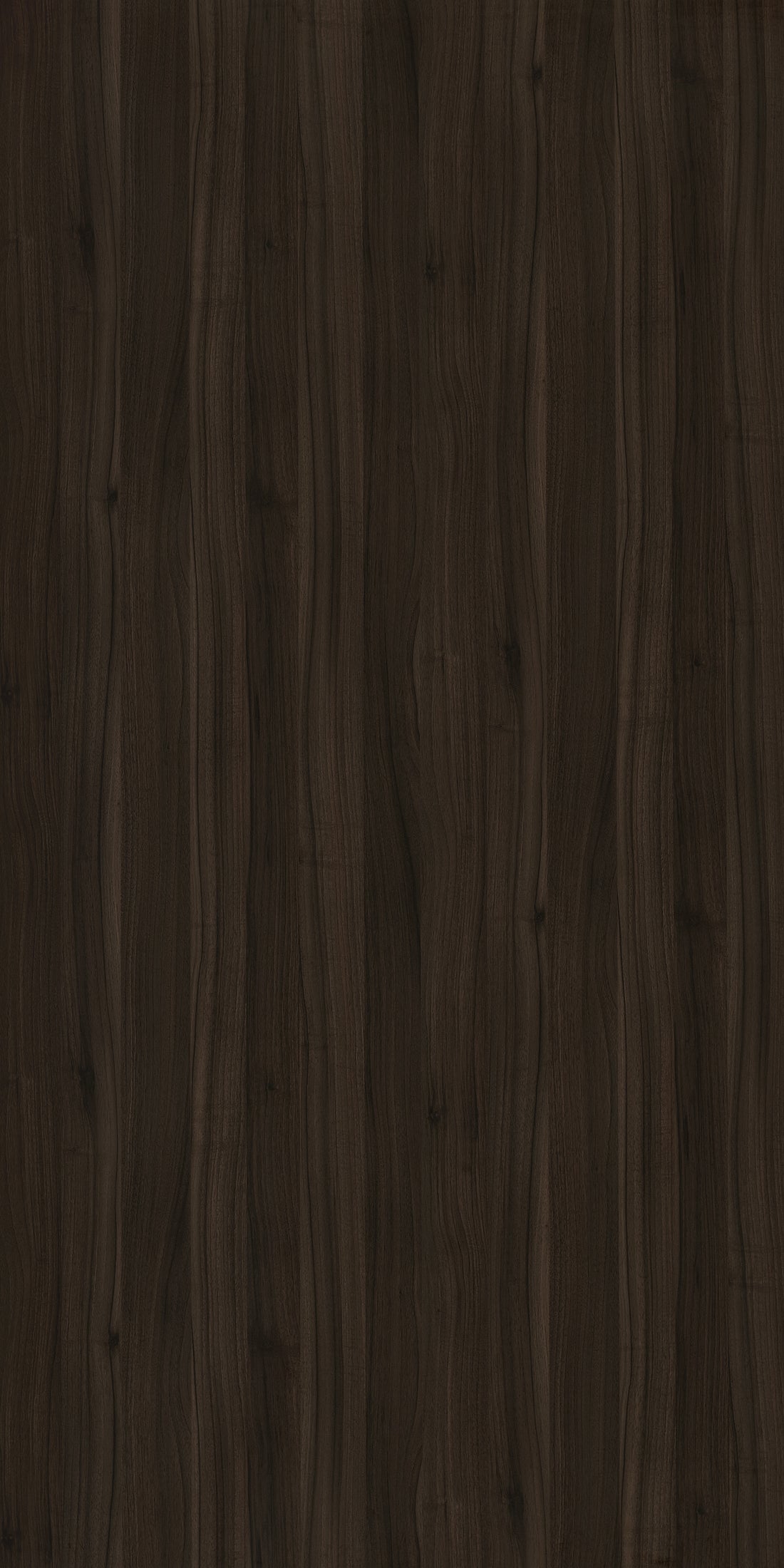 Taglio Marcello Walnut