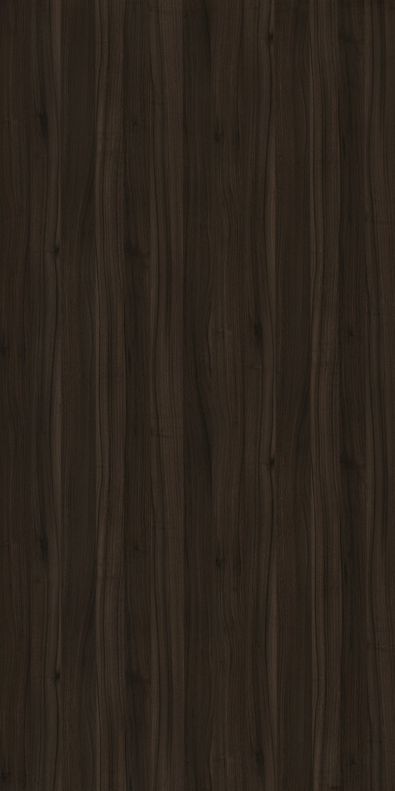 Taglio Marcello Walnut