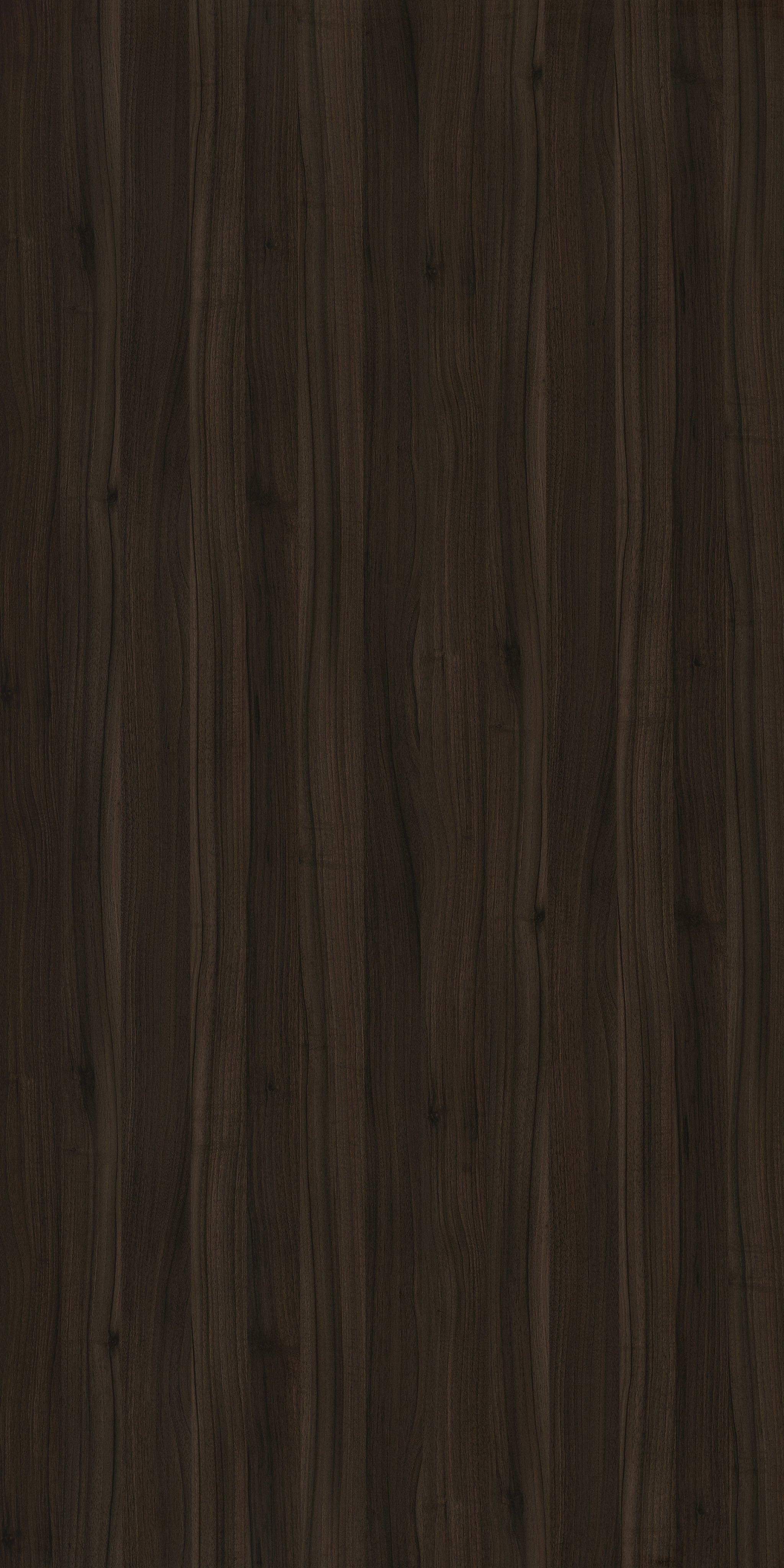 Taglio Marcello Walnut