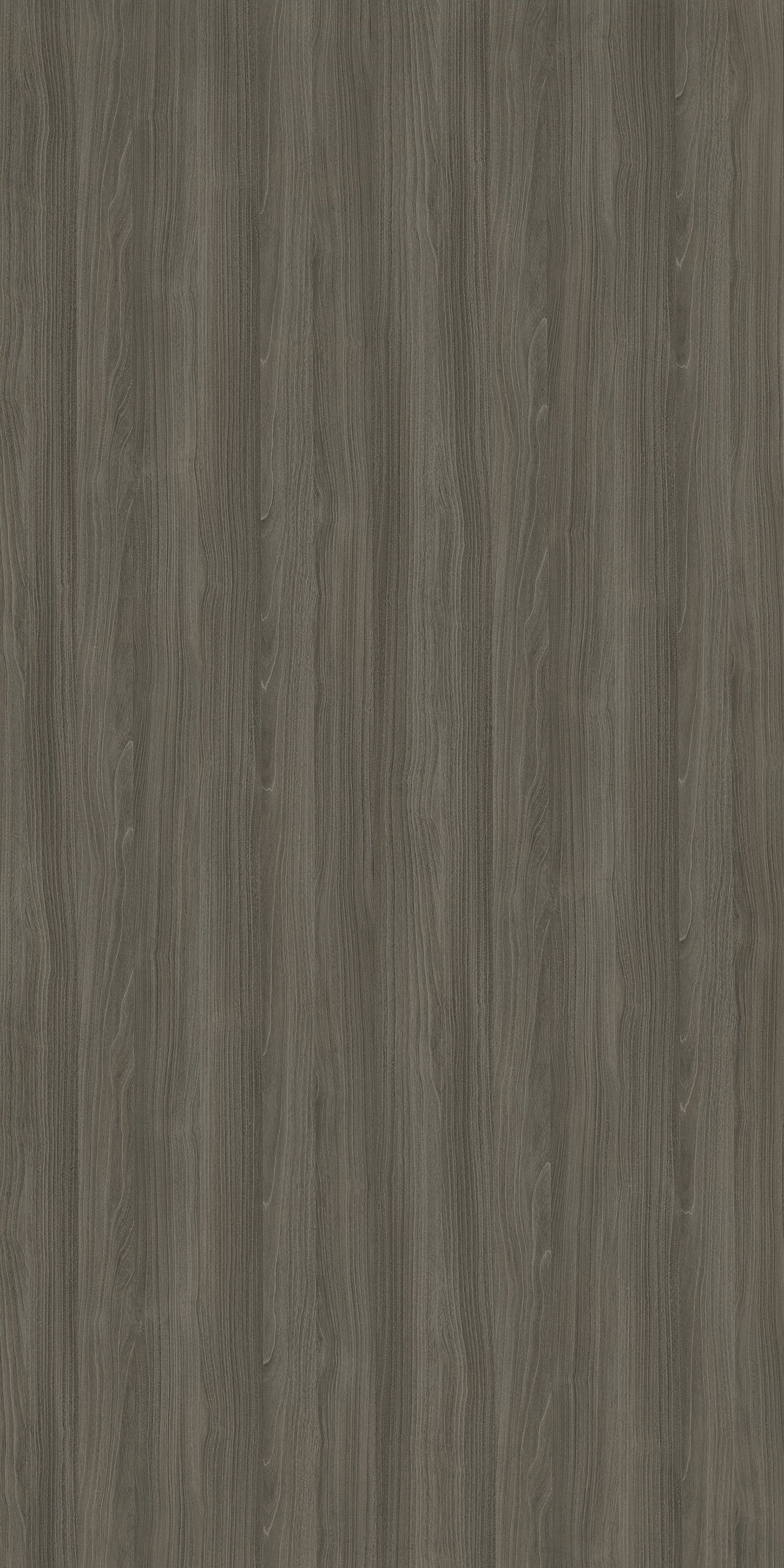 Grey Rosenheim Maple