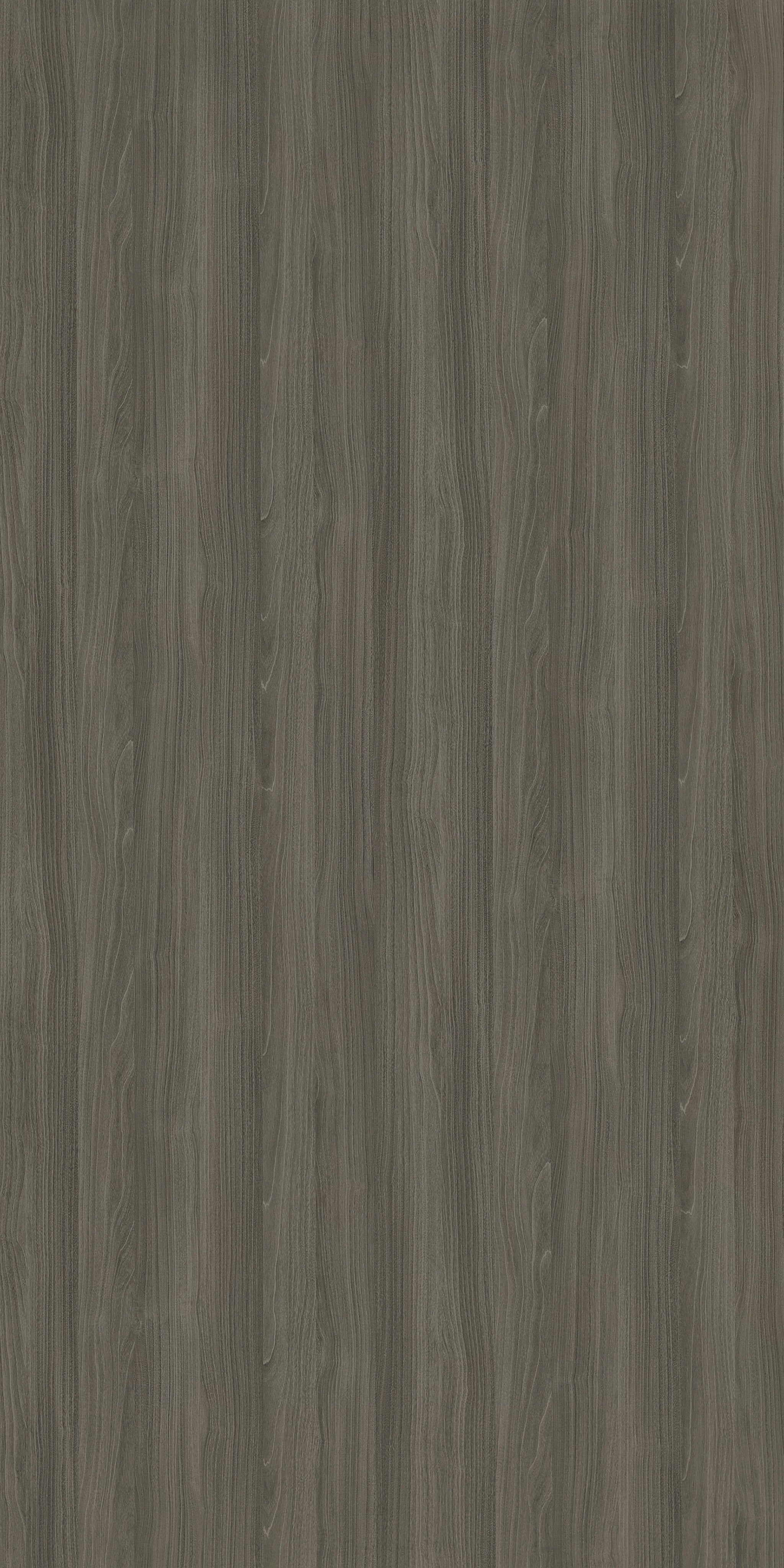 Grey Rosenheim Maple