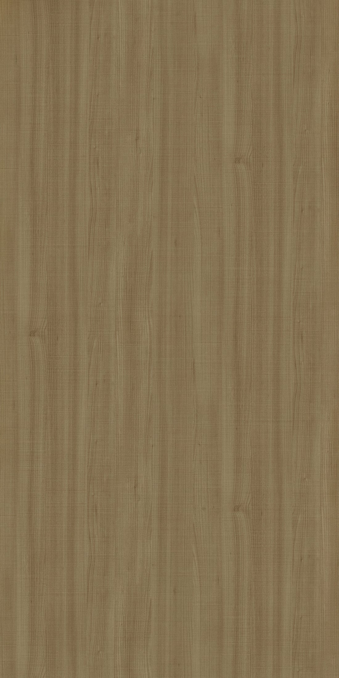 Nori Itadori Elm