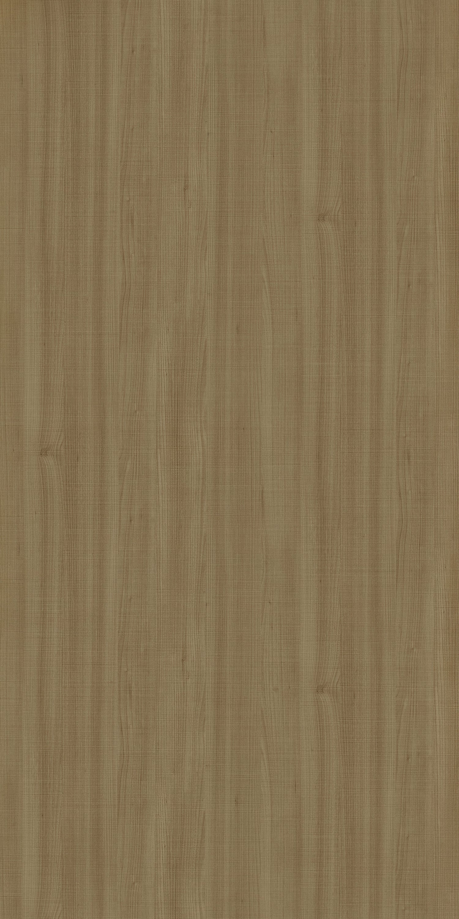 Nori Itadori Elm