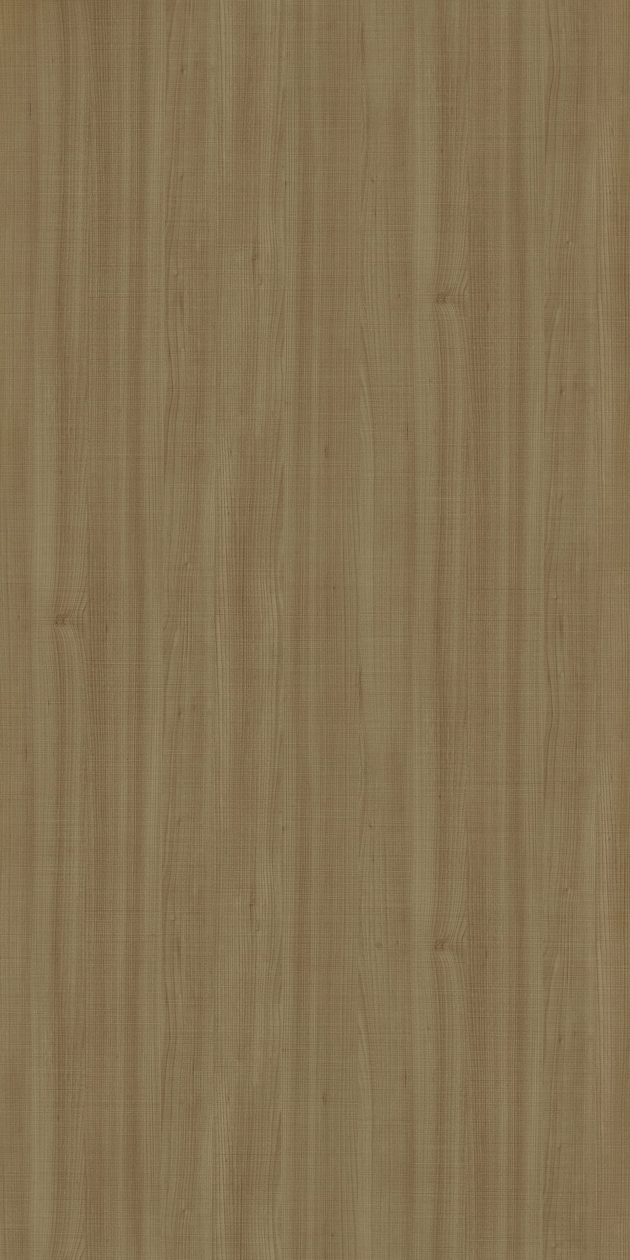 Nori Itadori Elm
