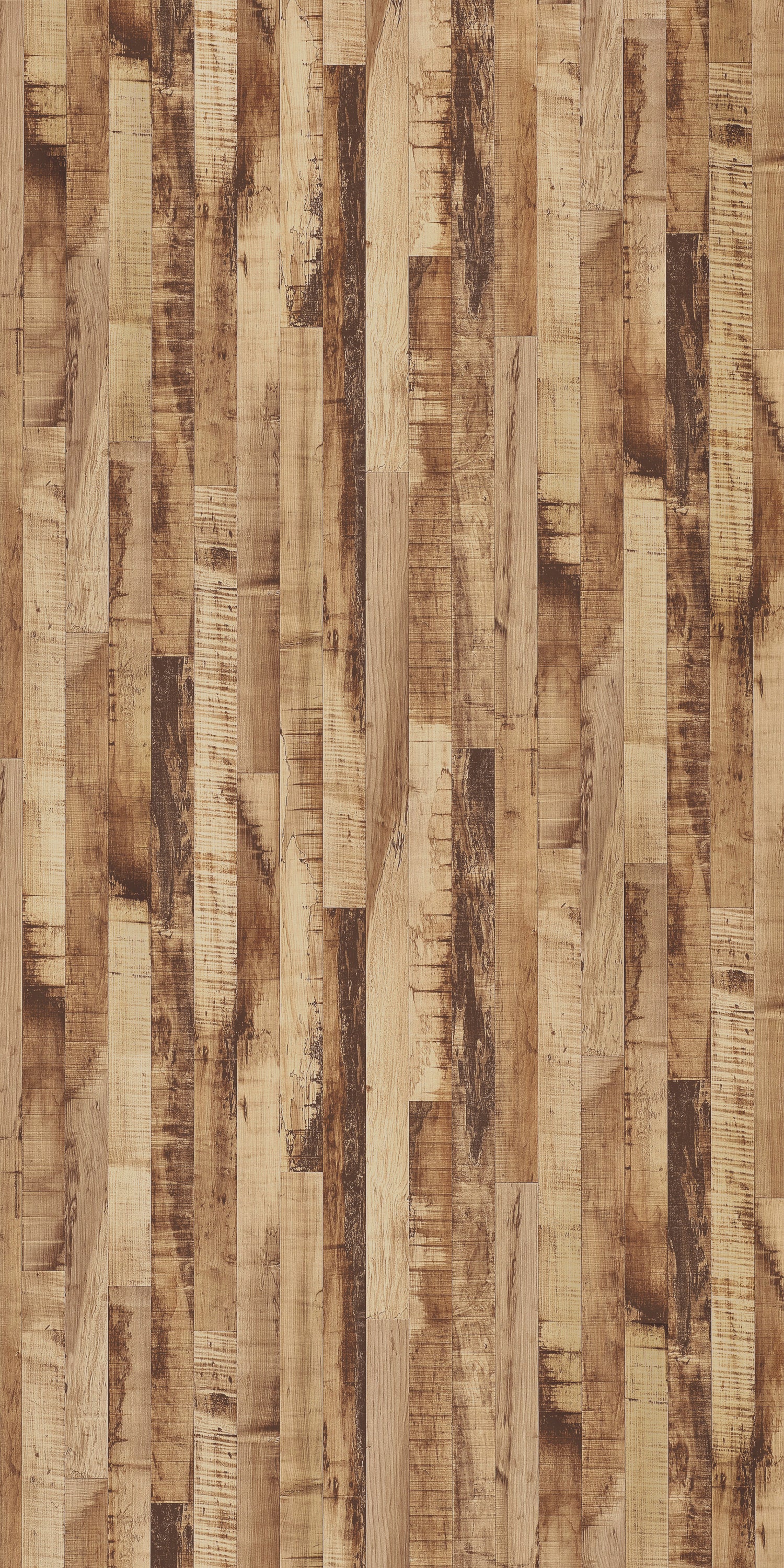 Corona Maple