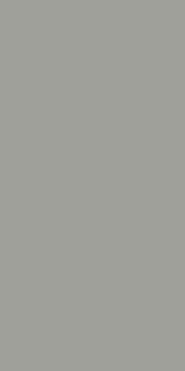 Wintry Grey Pro